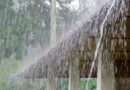 സംസ്ഥാനത്ത് ഇന്ന് മഴക്ക് സാധ്യത. മൂന്ന് ജില്ലകളിൽ യെല്ലോ അലർട്ട്