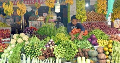 സംസ്ഥാനത്ത് പച്ചക്കറിക്ക് പൊള്ളുന്ന വില