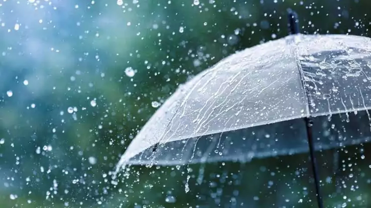 സംസ്ഥാനത്ത് ശക്തമായ മഴയ്ക്ക് സാദ്ധ്യത; ഏഴ് ജില്ലകളിൽ ജാഗ്രതാ നിർദേശം സംസ്ഥാനത്ത് ശക്തമായ മഴയ്ക്ക് സാദ്ധ്യത; ഏഴ് ജില്ലകളിൽ ജാഗ്രതാ നിർദേശം