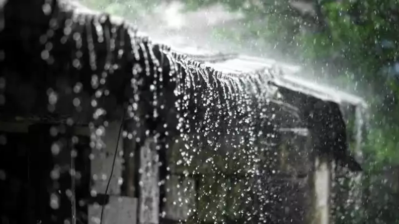 വീണ്ടും മഴ; ഇന്ന് മൂന്ന് ജില്ലകളിൽ ഓറഞ്ച് അലർട്ട്; അഞ്ചിടത്ത് യെല്ലോ അലർട്ട് വീണ്ടും മഴ; ഇന്ന് മൂന്ന് ജില്ലകളിൽ ഓറഞ്ച് അലർട്ട്; അഞ്ചിടത്ത് യെല്ലോ അലർട്ട്