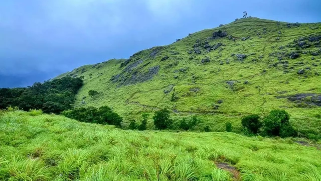 പൊൻമുടി ഇക്കോ ടൂറിസം കേന്ദ്രം വീണ്ടും സഞ്ചാരികള്ക്കായി തുറന്നു പൊൻമുടി ഇക്കോ ടൂറിസം കേന്ദ്രം വീണ്ടും സഞ്ചാരികള്ക്കായി തുറന്നു