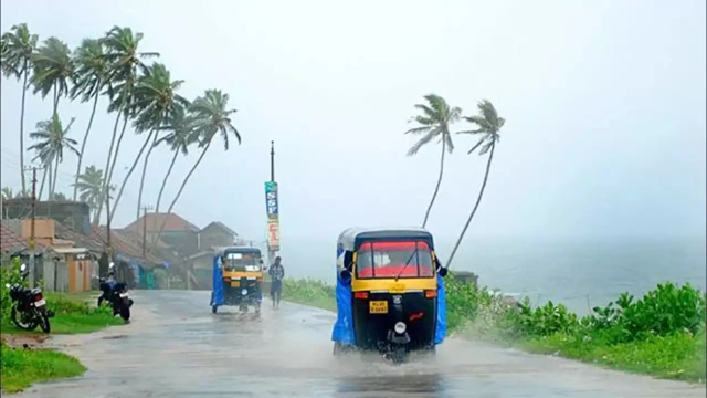 സംസ്ഥാനത്ത് ഇന്ന് പരക്കെ മഴയ്ക്ക് സാധ്യത; നാല് ജില്ലകളില് യെല്ലോ അലര്ട്ട് സംസ്ഥാനത്ത് ഇന്ന് പരക്കെ മഴയ്ക്ക് സാധ്യത; നാല് ജില്ലകളില് യെല്ലോ അലര്ട്ട്