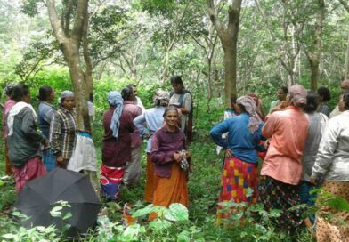 തൊഴിലുറപ്പ് കൂലിയും ദിവസങ്ങളും കൂട്ടി തൊഴിലുറപ്പ് കൂലിയും ദിവസങ്ങളും കൂട്ടി