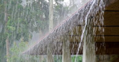 മഴ തുടരുന്നു; 12 ജില്ലകളില്‍ ഓറഞ്ച് അലേര്‍ട്ട്, പത്തിടത്ത് വിദ്യാഭ്യാസ സ്ഥാപനങ്ങള്‍ക്ക് അവധി