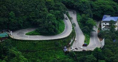 താമരശേരി ചുരത്തില്‍ വാഹനങ്ങള്‍ക്ക് നിയന്ത്രണം
