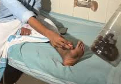 ഇതൊക്ക എന്ത്…; കടിച്ച പാമ്പിനെ കുപ്പിയിലാക്കി ആശുപത്രിയിലെത്തി യുവാവ്