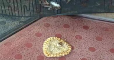 കാസര്‍ഗോഡ് ഒരു വര്‍ഷം മുമ്ബ് കളഞ്ഞുപോയ ഒരുലക്ഷം രൂപയുടെ സ്വര്‍ണത്താലി ചെരിപ്പിനടിയിലെ ബബിള്‍ഗമ്മില്‍