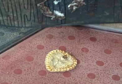 കാസര്‍ഗോഡ് ഒരു വര്‍ഷം മുമ്ബ് കളഞ്ഞുപോയ ഒരുലക്ഷം രൂപയുടെ സ്വര്‍ണത്താലി ചെരിപ്പിനടിയിലെ ബബിള്‍ഗമ്മില്‍