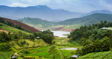 യാത്ര പോവുന്നവർ ശ്രദ്ധിക്കുക..; മെയ് 1 മുതൽ ഊട്ടിയിൽ ഗതാഗത നിയന്ത്രണം