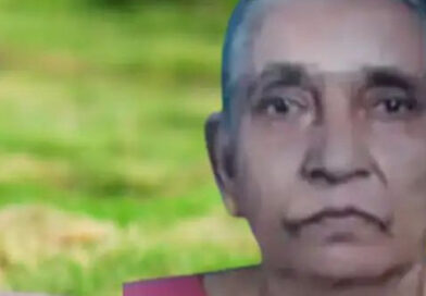 വീണ്ടും ജീവനെടുത്ത് പാമ്പ്..;കണ്ണൂരില്‍ വയോധിക ചികിത്സയിലിരിക്കെ മരിച്ചു
