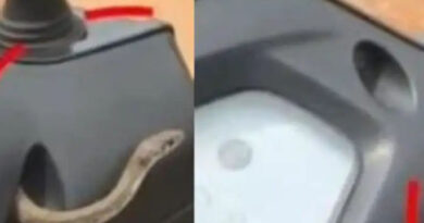 ഞാനും കുറച്ച് നാട് കാണട്ടെ സഹോ…;നാദാപുരത്ത് സ്കൂട്ടറിനുള്ളില്‍ ഒളിച്ചിരുന്ന പാമ്പുമായി യുവാവ് സഞ്ചരിച്ചത് കിലോമീറ്ററുകളോളം