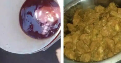 ഹോസ്റ്റലുകളിലെ വൃത്തിഹീനമായ ഭക്ഷണം: ഗ്ലോബല്‍ എഡ്യുക്കേഷൻ കണ്‍സള്‍ട്ടൻസിയുടെ ലൈസൻസ് റദ്ദാക്കി,