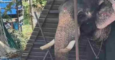 വീണ്ടും ഇടഞ്ഞ് ആന..;കൂടല്‍മാണിക്യം ക്ഷേത്രത്തില്‍ ഉത്സവത്തിനെത്തിച്ച ആന ഇടഞ്ഞ് പാപ്പാനെ ചവിട്ടി കൊന്നു