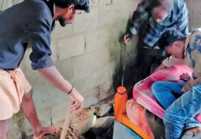 മേല്‍ക്കൂരയില്‍നിന്ന് പാമ്പ് ദേഹത്തുവീണു; പത്തനാപുരത്ത് 15-കാരിക്ക് പാമ്പുകടിയേറ്റു