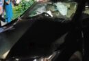 വയനാട്ടില്‍ കാറുകള്‍ തമ്മില്‍ കൂട്ടിയിടിച്ച്‌ അപകടം; പത്ത് പേര്‍ക്ക് പരിക്ക്, കുട്ടിയുടെ നില ഗുരുതരം