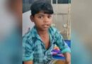 കൊല്ലാനെത്തിയ പുലിയെ സാഹസികമായി നേരിട്ട് 13 കാരൻ