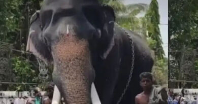 റീൽസിലെ താരം..; കൂടല്‍മാണിക്യം ക്ഷേത്രത്തില്‍ വീണ്ടും ആന ഇടഞ്ഞു