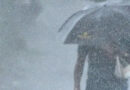 സംസ്ഥാനത്ത് ഇന്ന് പരക്കെ മഴയ്ക്ക് സാധ്യത; ഒൻപത് ജില്ലകളില്‍ യെല്ലോ അലര്‍ട്ട്