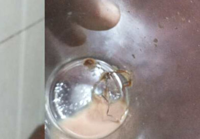ചായയില്‍ നിന്നും സ്‌ക്രബ്ബറിന്റെ ഭാഗം കിട്ടിയെന്ന പരാതിയില്‍ ഹോട്ടല്‍ അടപ്പിച്ച് നഗരസഭ