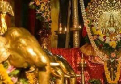 ‘ഏഴരപ്പൊന്നാന’യുടെ മാറ്റ് പരിശോധിക്കാൻ ഹൈക്കോടതി നിർദേശം