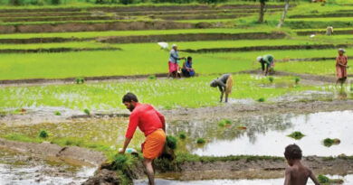 സംസ്ഥാന കർഷക അവാർഡിന് അപേക്ഷിക്കാം