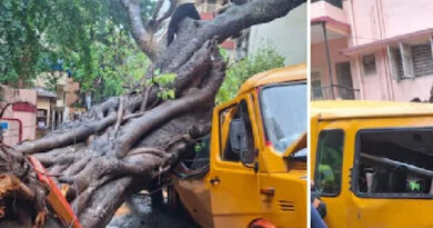 സ്‌കൂള്‍ ബസിന് മുകളിൽ ആൽമരം കടപുഴകി വീണ് 11 വയസുകാരന് ദാരുണാന്ത്യം