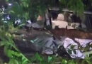  മട്ടന്നൂര്‍ കൊതേരിയില്‍ കാറിന് മുകളില്‍ മരം കടപുഴകി വീണു