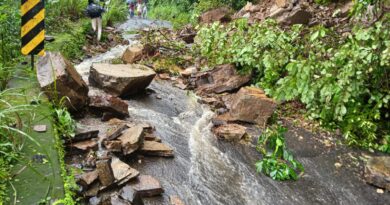 പാൽച്ചുരത്തിൽ മണ്ണിടിഞ്ഞു; കൊട്ടിയൂർ–മാനന്തവാടി പാതയിൽ ഗതാഗത തടസ്സം