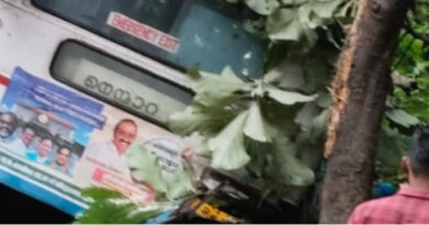 നെല്ലിയാമ്പതിയില്‍ കെഎസ്ആര്‍ടിസി ബസ് റോഡില്‍ നിന്ന് തെന്നിമാറി അപകടം; ഒരു മരണം