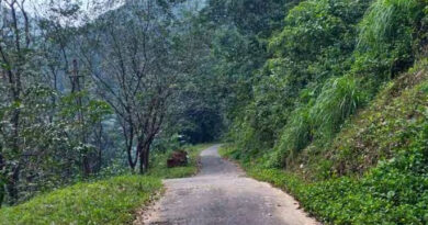 പാല്‍ച്ചുരം റോഡില്‍ ഗതാഗതം പുന:സ്ഥാപിച്ചു: രാത്രികാല നിരോധനം തുടരും