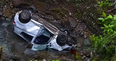 അട്ടപ്പാടിയിൽ കാര്‍ കൊക്കയിലേക്ക് മറിഞ്ഞ് മൂന്നുപേര്‍ക്ക് ദാരുണാന്ത്യം