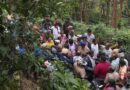 ഗൂഡല്ലൂരില്‍ കടുവയുടെ ആക്രമണത്തിൽ തോട്ടം തൊഴിലാളി കൊല്ലപ്പെട്ടു