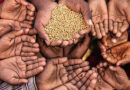 കാലാവസ്ഥാ വ്യതിയാനം; 2027 -ൽ 4.9 കോടി ജനങ്ങളെ കൊടും പട്ടിണിലേക്ക് തള്ളിവിടും; ഐക്യരാഷ്ട്രസഭ റിപ്പോർട്ട്