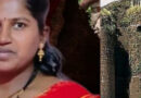 വനിതാ ഗുസ്തിതാരം കുട്ടികളോടൊപ്പം ആത്മഹത്യ ചെയ്തു