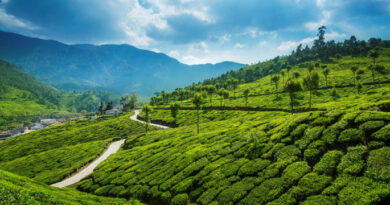 പൂജാ അവധി ആഘോഷിക്കാൻ ഇടുക്കിയിലേക്ക് സഞ്ചാരികളുടെ ഒഴുക്ക്
