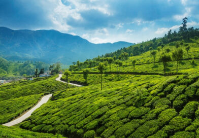 പൂജാ അവധി ആഘോഷിക്കാൻ ഇടുക്കിയിലേക്ക് സഞ്ചാരികളുടെ ഒഴുക്ക്