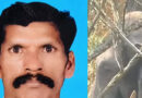 വീണ്ടും ആനക്കലി; ഇടുക്കിയില്‍ കാട്ടാന ആക്രമണത്തില്‍ ഒരാള്‍ മരിച്ചു