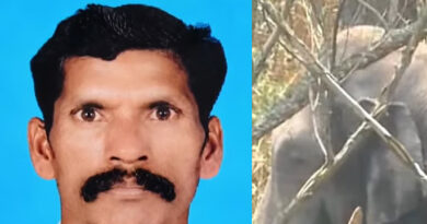 വീണ്ടും ആനക്കലി; ഇടുക്കിയില്‍ കാട്ടാന ആക്രമണത്തില്‍ ഒരാള്‍ മരിച്ചു