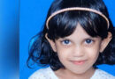 പാലക്കാട് ബന്ധുക്കളായ രണ്ട് കുട്ടികള്‍ കുളത്തില്‍ വീണ് മരിച്ചു
