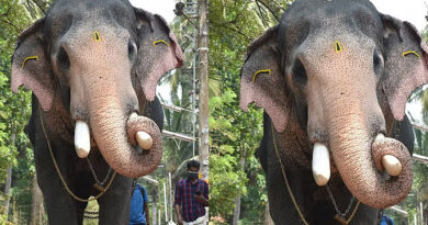 ഇടിമിന്നലിൽ പല്ലാട്ട് ബ്രഹ്മദത്തന് ദാരുണാന്ത്യം