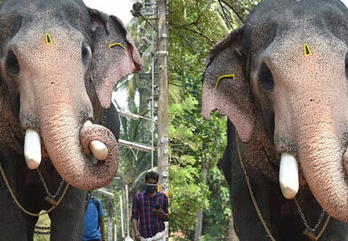 ഇടിമിന്നലിൽ പല്ലാട്ട് ബ്രഹ്മദത്തന് ദാരുണാന്ത്യം ഇടിമിന്നലിൽ പല്ലാട്ട് ബ്രഹ്മദത്തന് ദാരുണാന്ത്യം