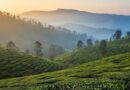 തമിഴ്നാട്ടിൽ അതിതീവ്ര മഴയ്ക്ക് സാധ്യത; ഊട്ടി, കൊടൈക്കനാൽ മേഖലയിലെ വിനോദസഞ്ചാര കേന്ദ്രങ്ങൾ അടച്ചു