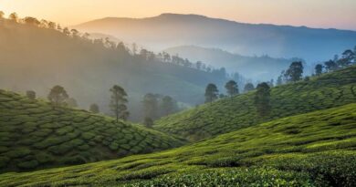 തമിഴ്നാട്ടിൽ അതിതീവ്ര മഴയ്ക്ക് സാധ്യത; ഊട്ടി, കൊടൈക്കനാൽ മേഖലയിലെ വിനോദസഞ്ചാര കേന്ദ്രങ്ങൾ അടച്ചു