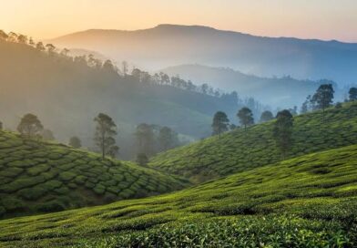 തമിഴ്നാട്ടിൽ അതിതീവ്ര മഴയ്ക്ക് സാധ്യത; ഊട്ടി, കൊടൈക്കനാൽ മേഖലയിലെ വിനോദസഞ്ചാര കേന്ദ്രങ്ങൾ അടച്ചു തമിഴ്നാട്ടിൽ അതിതീവ്ര മഴയ്ക്ക് സാധ്യത; ഊട്ടി, കൊടൈക്കനാൽ മേഖലയിലെ വിനോദസഞ്ചാര കേന്ദ്രങ്ങൾ അടച്ചു