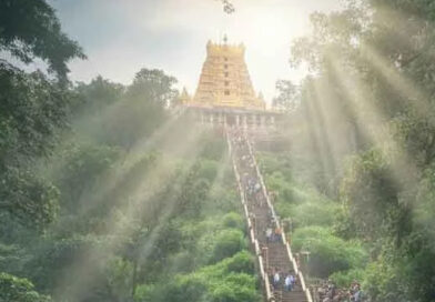 തുലാമാസപൂജയ്ക്ക് ശബരിമലനട ഇന്ന് തുറക്കും