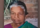  തൊഴിലുറപ്പ് ജോലിക്കിടെ കാട്ടാനയുടെ ആക്രമണത്തില്‍ 80കാരിക്ക് ദാരുണാന്ത്യം