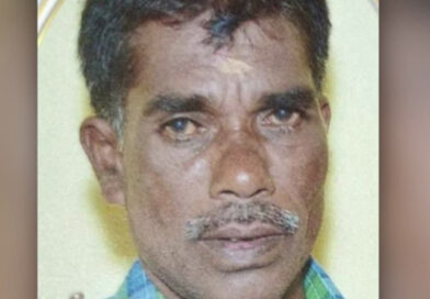 നൊങ്ക് ശേഖരിക്കാൻ കയറി പനയിൽ കുടുങ്ങി; വയോധികന് ദാരുണാന്ത്യം നൊങ്ക് ശേഖരിക്കാൻ കയറി പനയിൽ കുടുങ്ങി; വയോധികന് ദാരുണാന്ത്യം